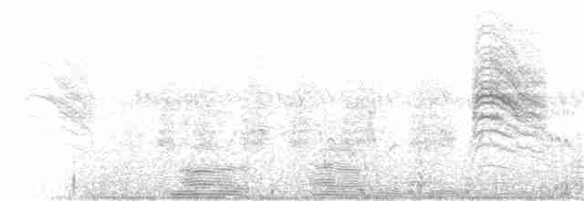 Kara Kuyruklu Bitkuşu - ML170497201