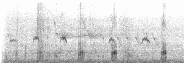 Common Merganser (North American) - ML170497721