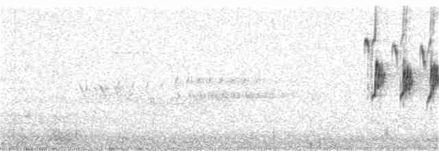 Kaya Çıtkuşu - ML170525021