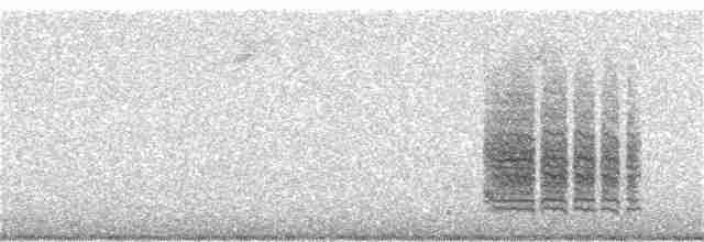 Kaya Çıtkuşu - ML170526261