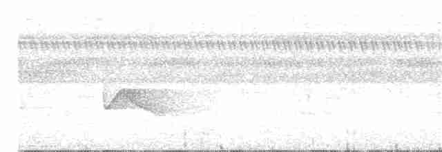 White-winged Shrike-Tanager - ML170610851