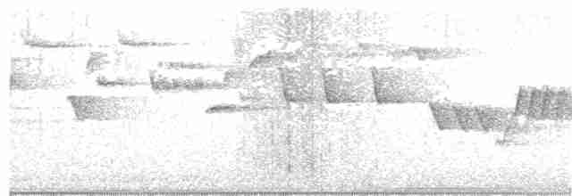 střízlík kanadský - ML170653881