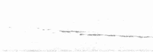 Weißkehlgerygone - ML170667881