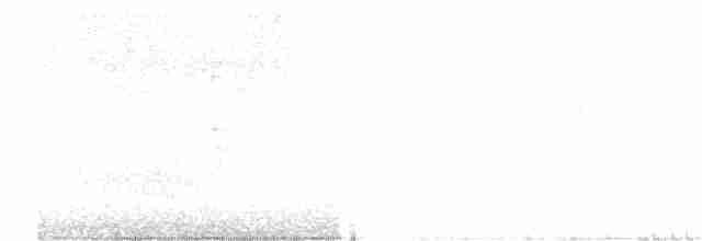 gråmaskepetrell - ML170680771