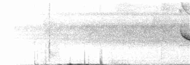 White-throated Shrike-Tanager - ML170699981