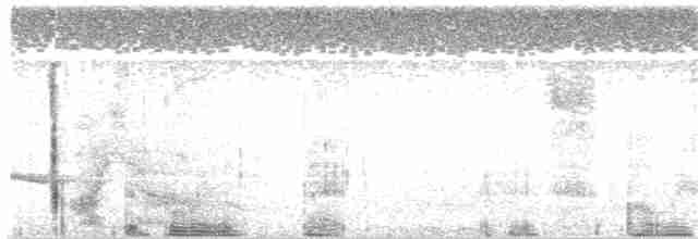 Чернобрюхий крапивник - ML170708201