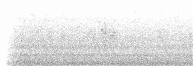 Troglodyte montagnard - ML170716771
