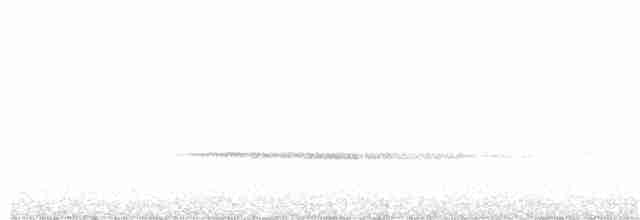 Turuncu Ardıç - ML170719711