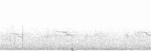 アメリカマダラウミスズメ - ML170721481