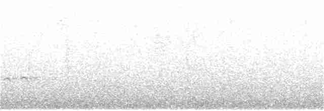 Chaparralgrasmücke - ML170722001