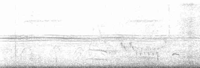 Small-billed Tinamou - ML170775