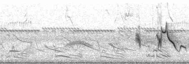 Трав’янець гострохвостий - ML170777