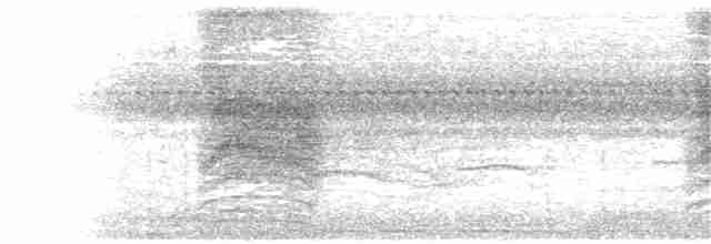 Пересмішник сірий - ML170821301