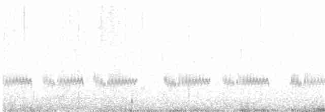 Kaşık Gagalı Kumkuşu - ML170831491