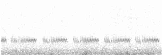 Kaşık Gagalı Kumkuşu - ML170831801