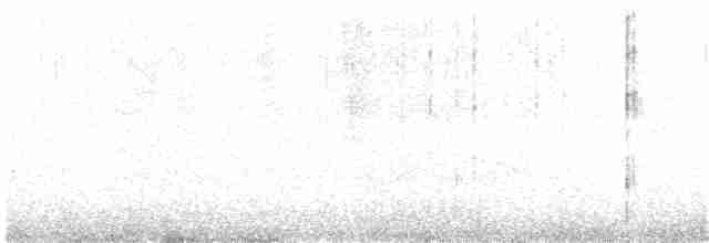 Kaşık Gagalı Kumkuşu - ML170831811