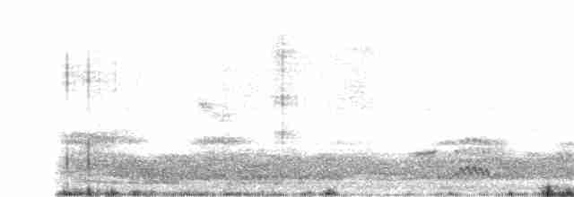 Dot-winged Crake - ML170840471