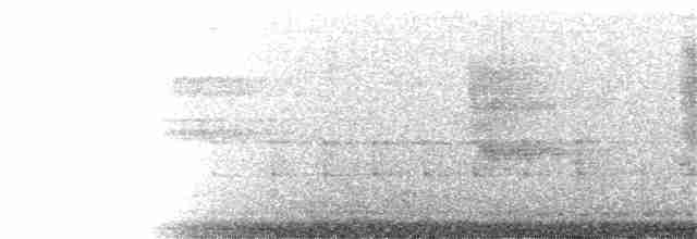 Сероголовая перепелиная горлица - ML170842181