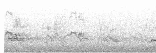 ML170893491 visualization