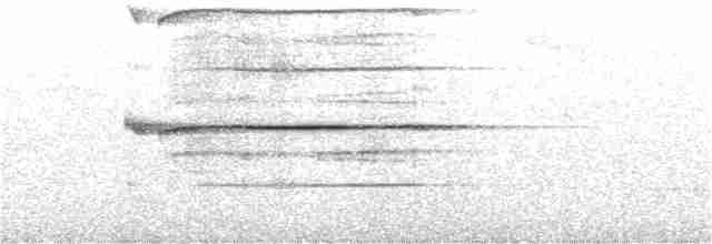 Ширококрылый канюк - ML170898721