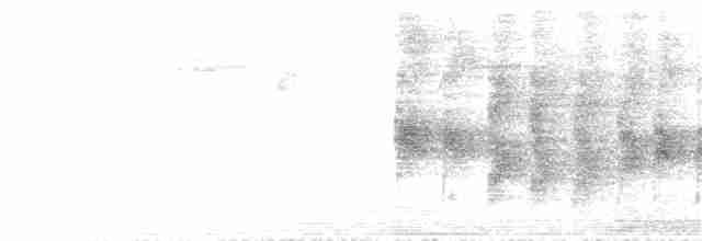 hvitnakkeskjære - ML170914701