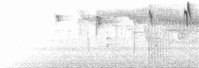 Gri Tepeli Baştankara - ML170914811