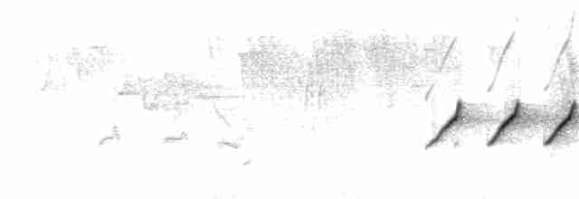Weißschwanzkleiber - ML170914961