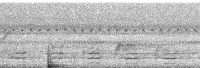 Лирохвостый медоуказчик - ML170963