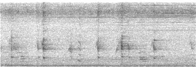 פנינית הקסדה (פליטת תרבות) - ML170981111