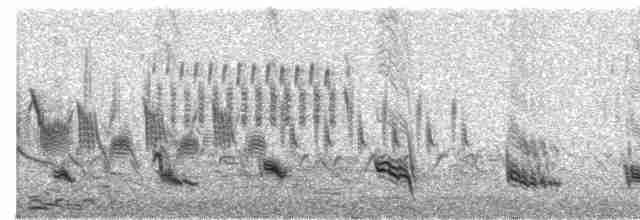 ML171010421 visualization