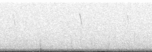 Çıplak Gözlü Yer Kumrusu - ML171071