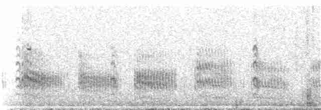 Common Tern - ML171116411