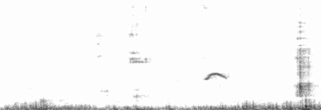 Черноногий альбатрос - ML171117671