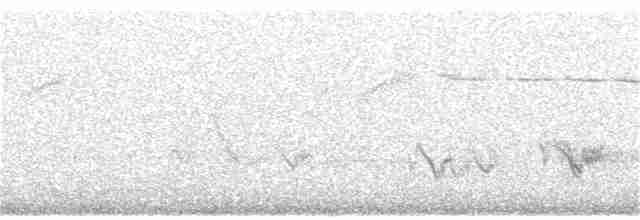 Дятел-смоктун білочеревий - ML171173901