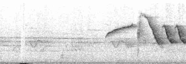 Длиннохвостый крапивник - ML171254