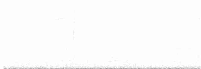 Münzevi Bülbül Ardıcı - ML171277351