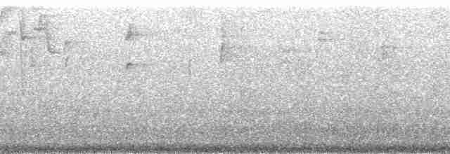 Красноухая которра - ML171329