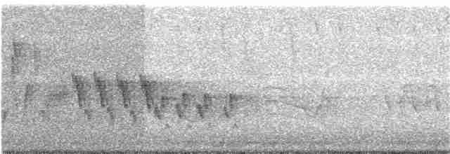 Ev Çıtkuşu [aedon grubu] - ML171341141