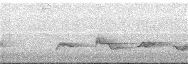 Чернокрылая пиранга - ML171341731