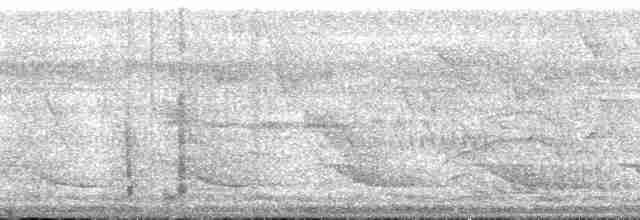 Çizgili Sırtlı Çıtkuşu - ML171352