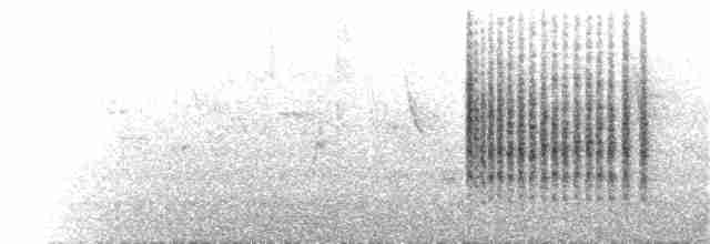 Fauvette babillarde (althaea) - ML171373251