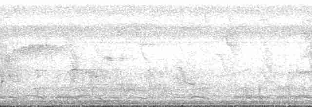 Зернолуск рудобокий - ML171379