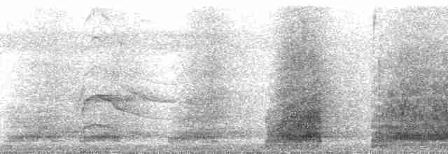 volavka jihoamerická - ML171381
