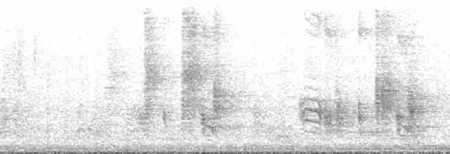 Çizgili Sırtlı Çıtkuşu - ML171388