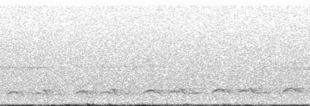 Lyre-tailed Nightjar - ML17151