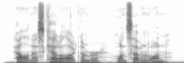 gulbuktykknebb (aureoventris) - ML171511