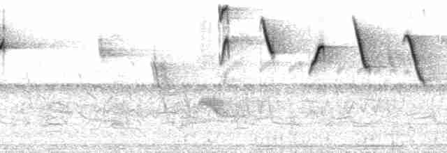 Turuncu Başlı Tangara - ML171542