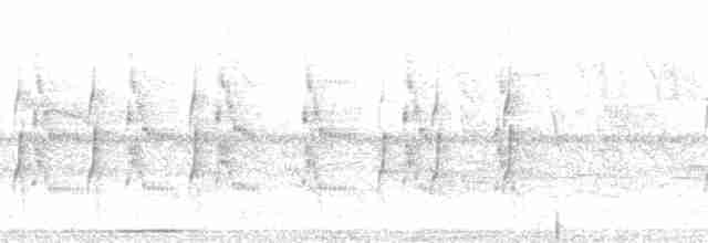 gulbuktykknebb (aureoventris) - ML171543