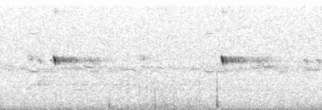 Scissor-tailed Nightjar - ML171590