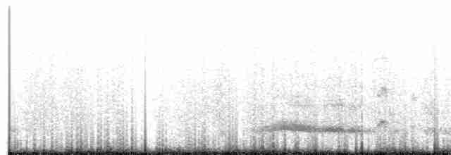 Серогрудый тиранн - ML171598461